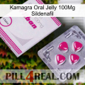 Kamagra Oral Jelly 100Mg Sildenafil 32